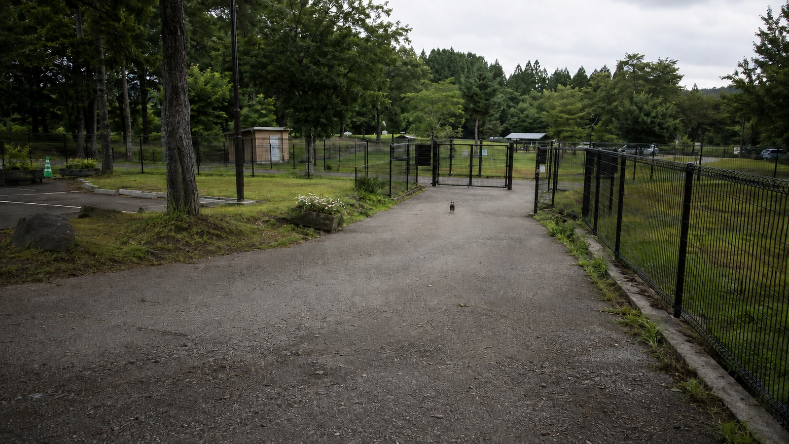 犬都記念公園ドッグランのAIイメージ画像3
