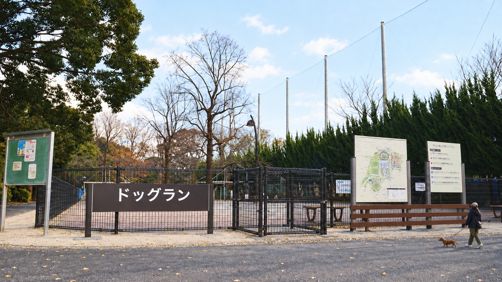 駒沢オリンピック公園 ドッグラン（AIイメージ画像）