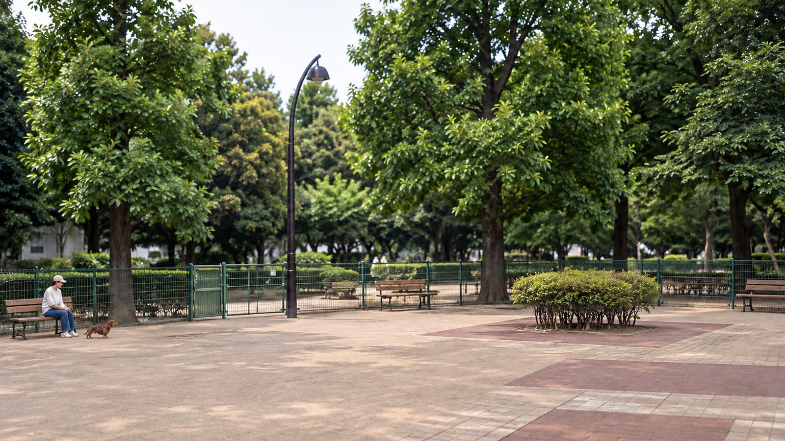 駒沢オリンピック公園 ドッグランのAIイメージ画像2