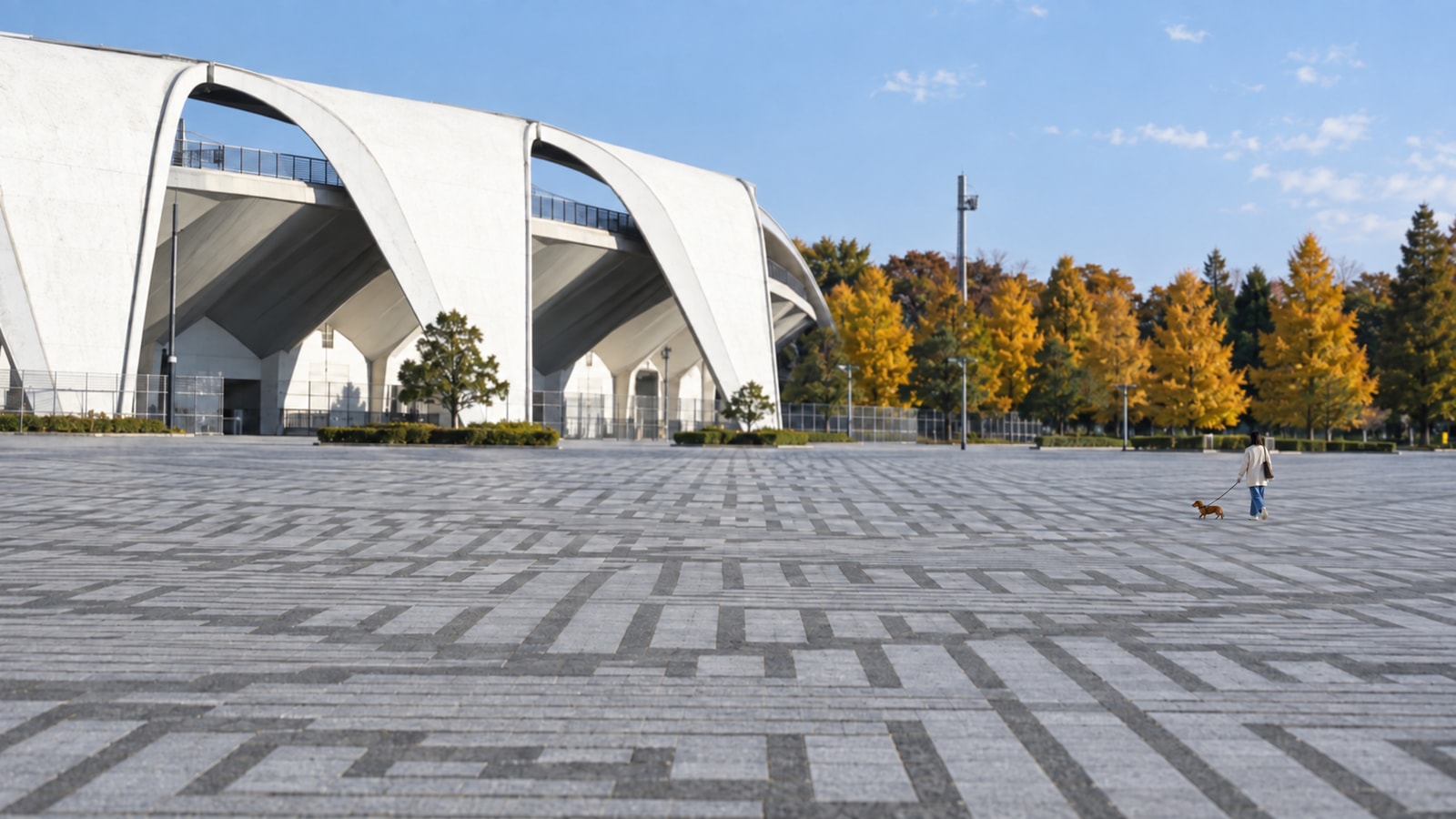 駒沢オリンピック公園 ドッグランのAIイメージ画像4