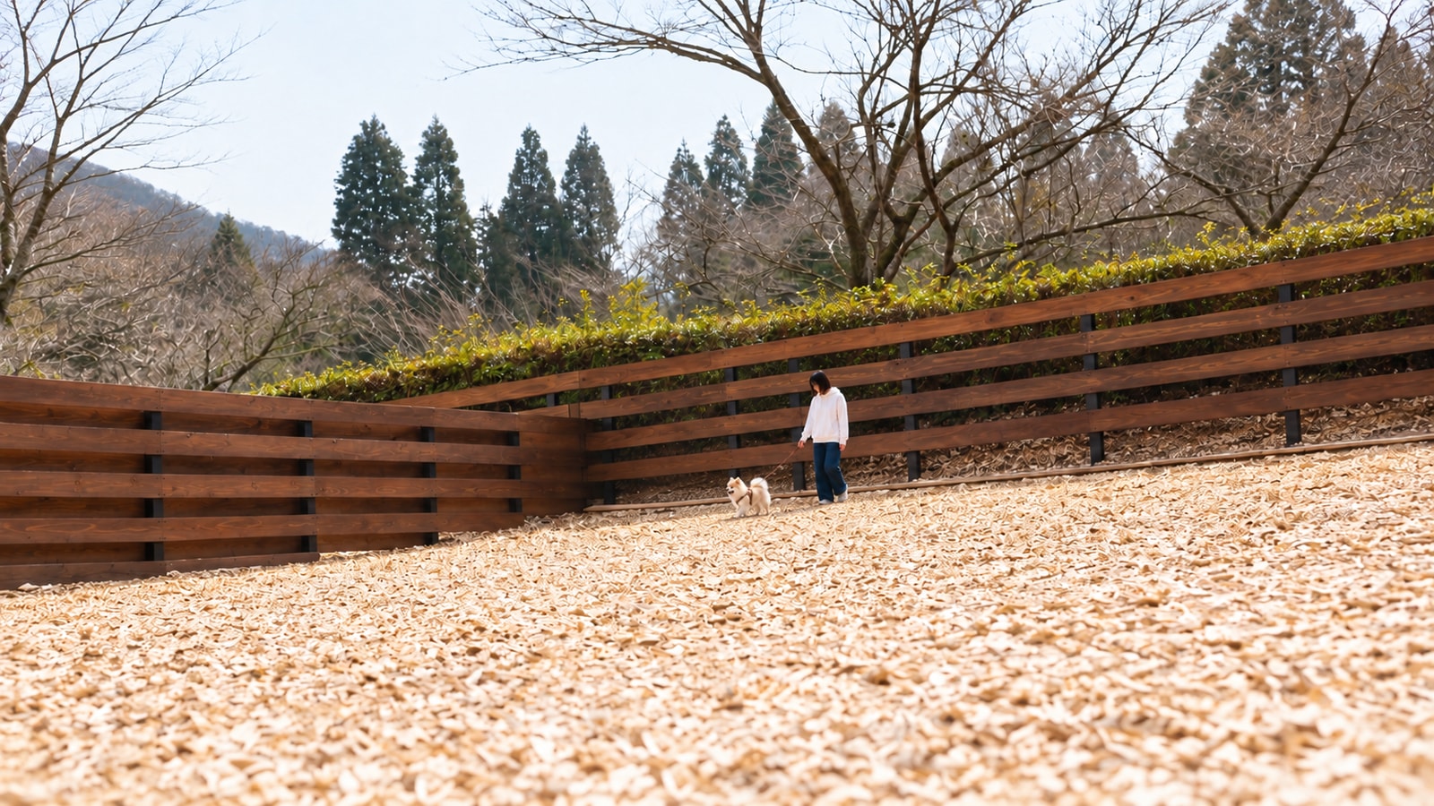 コスギリゾート 阿蘇 With DogsのAIイメージ画像2