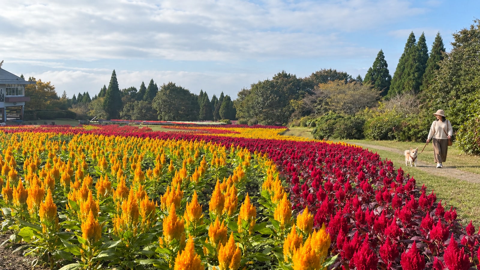 くじゅう花公園のAIイメージ画像3