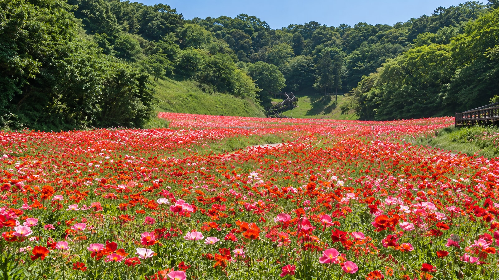 くりはま花の国（AIイメージ画像）