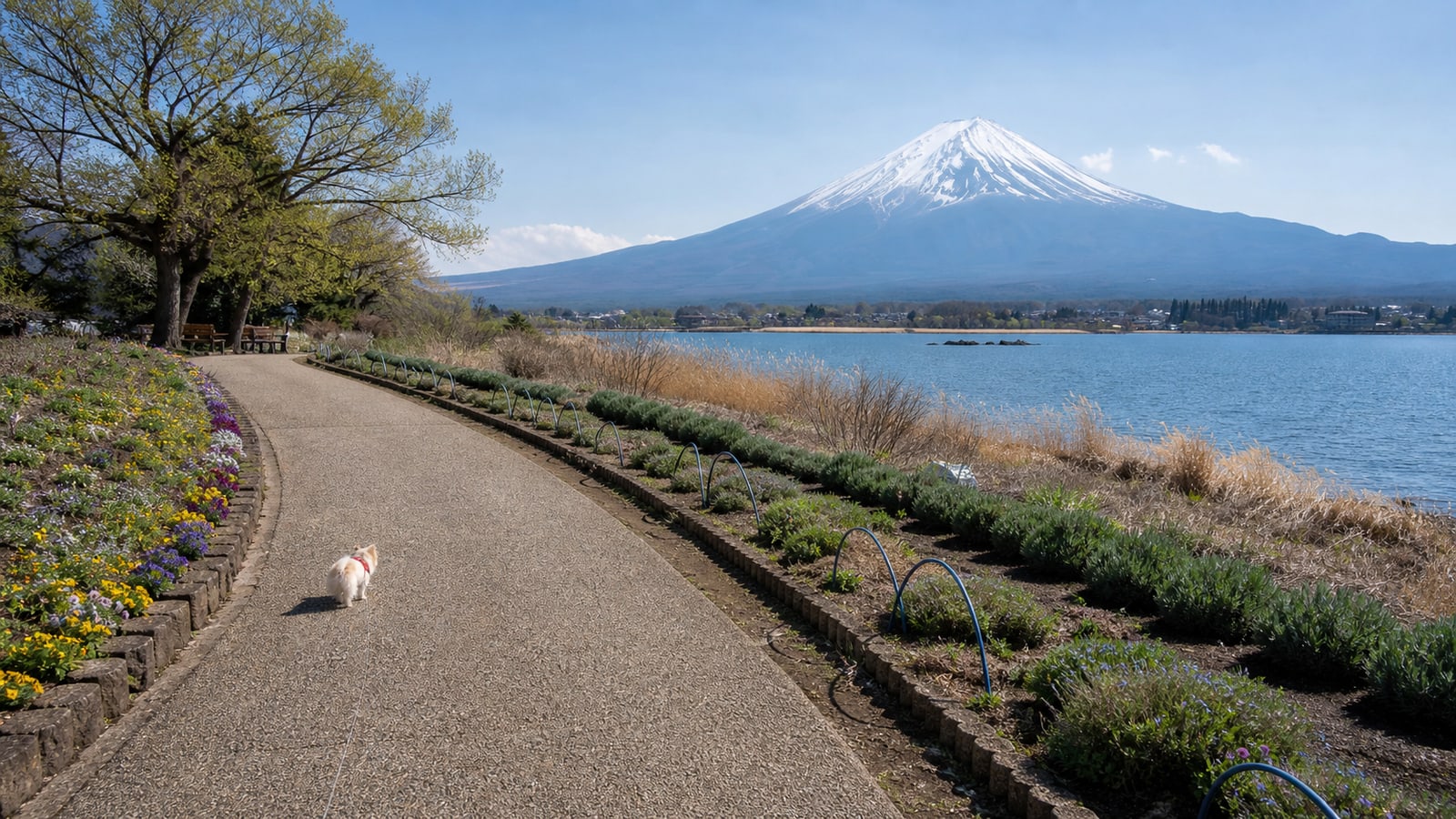 河口湖 大石公園のAIイメージ画像3