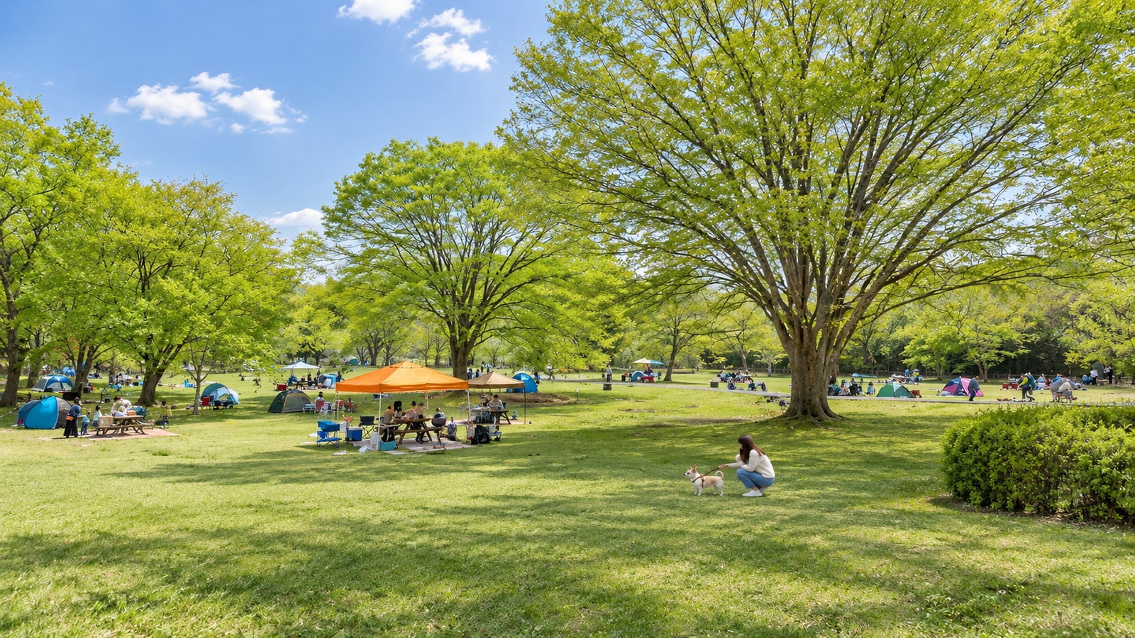 国営みちのく杜の湖畔公園のAIイメージ画像2