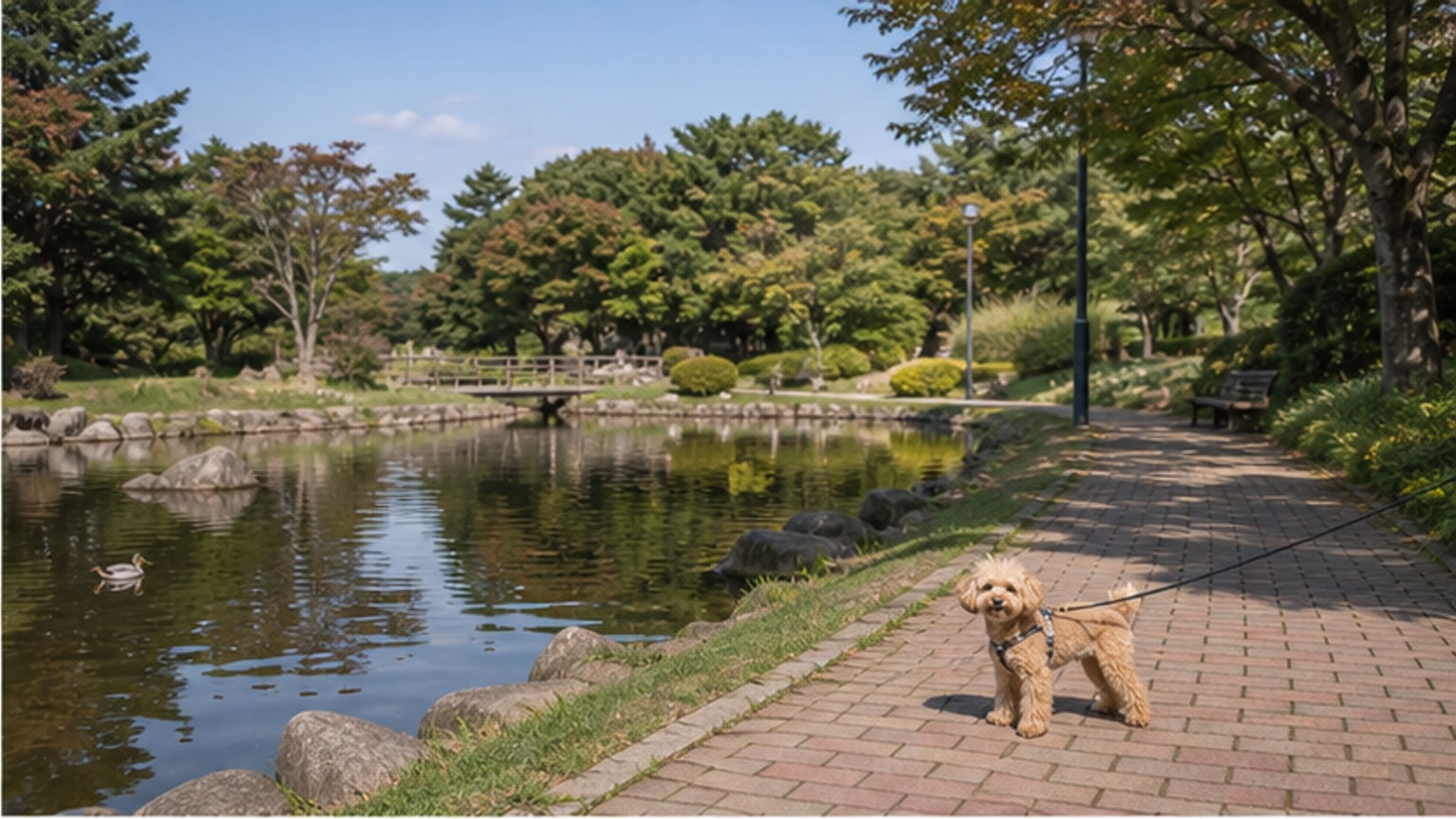 緑ヶ丘公園（苫小牧市）のAIイメージ画像2