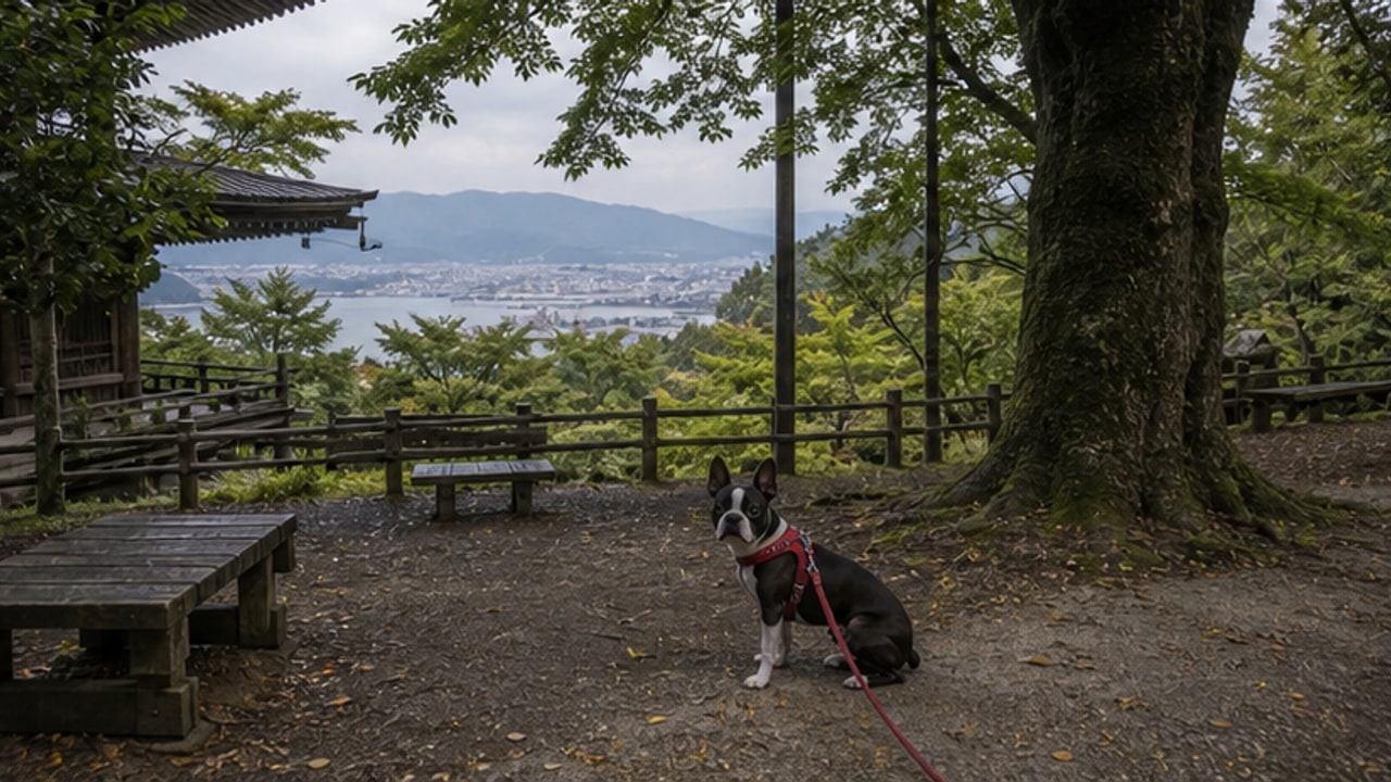三井寺（園城寺）のAIイメージ画像4