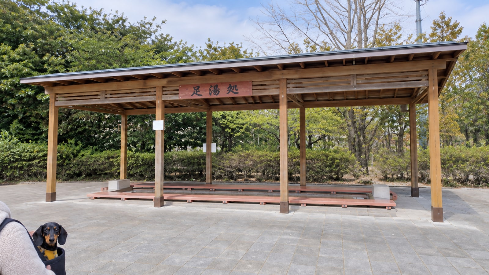 峰温泉大噴湯公園のAIイメージ画像3