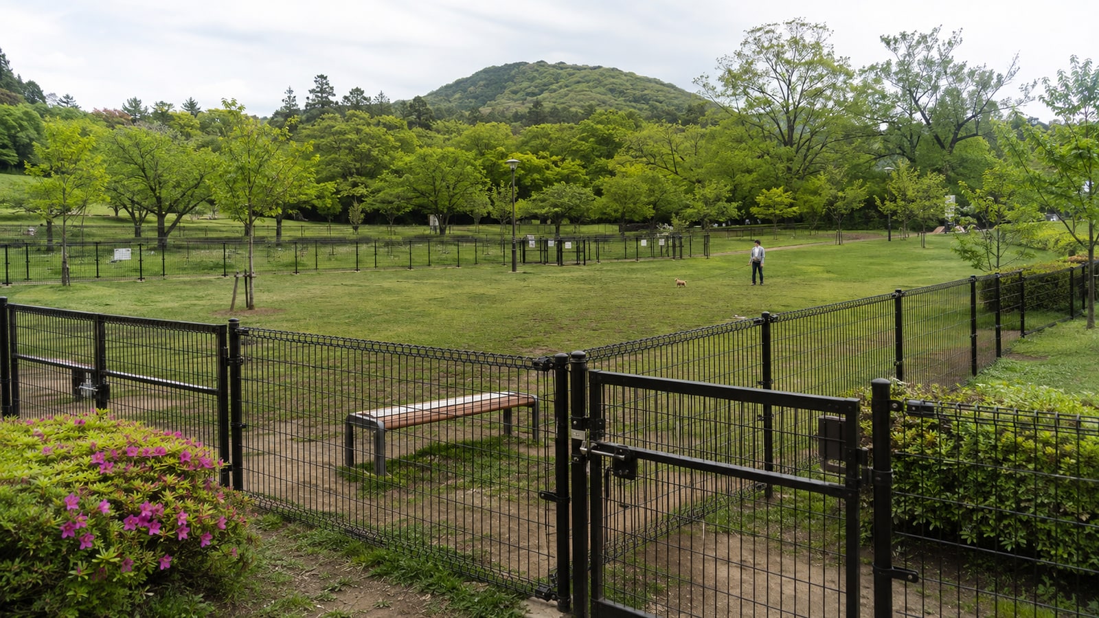 盛岡市中央公園ドッグラン（AIイメージ画像）