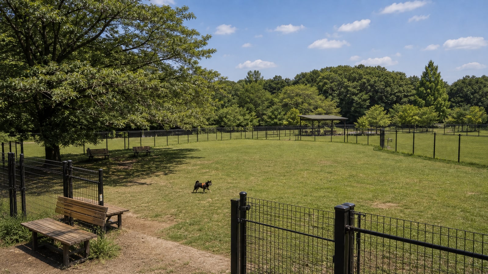 国営武蔵丘陵森林公園のAIイメージ画像2