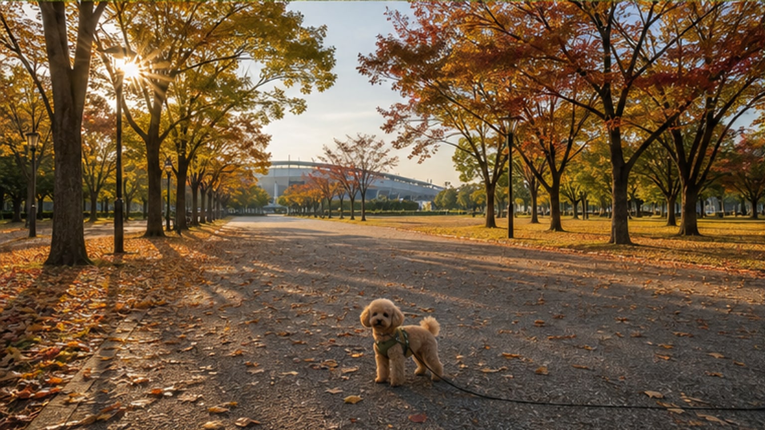 長居公園のAIイメージ画像3