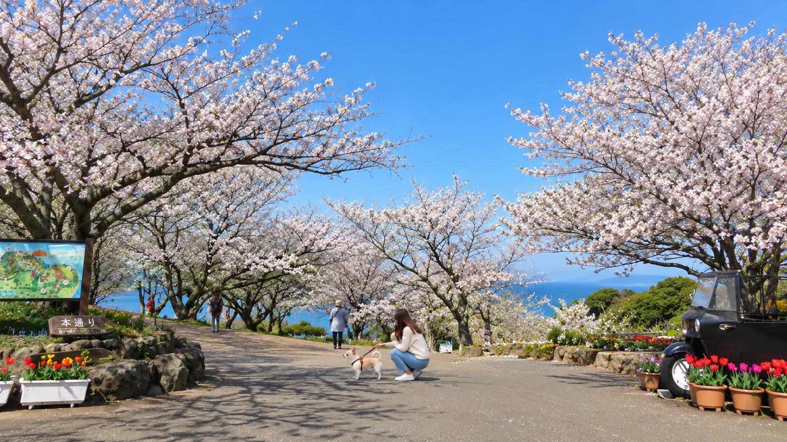のこのしまアイランドパークのAIイメージ画像4