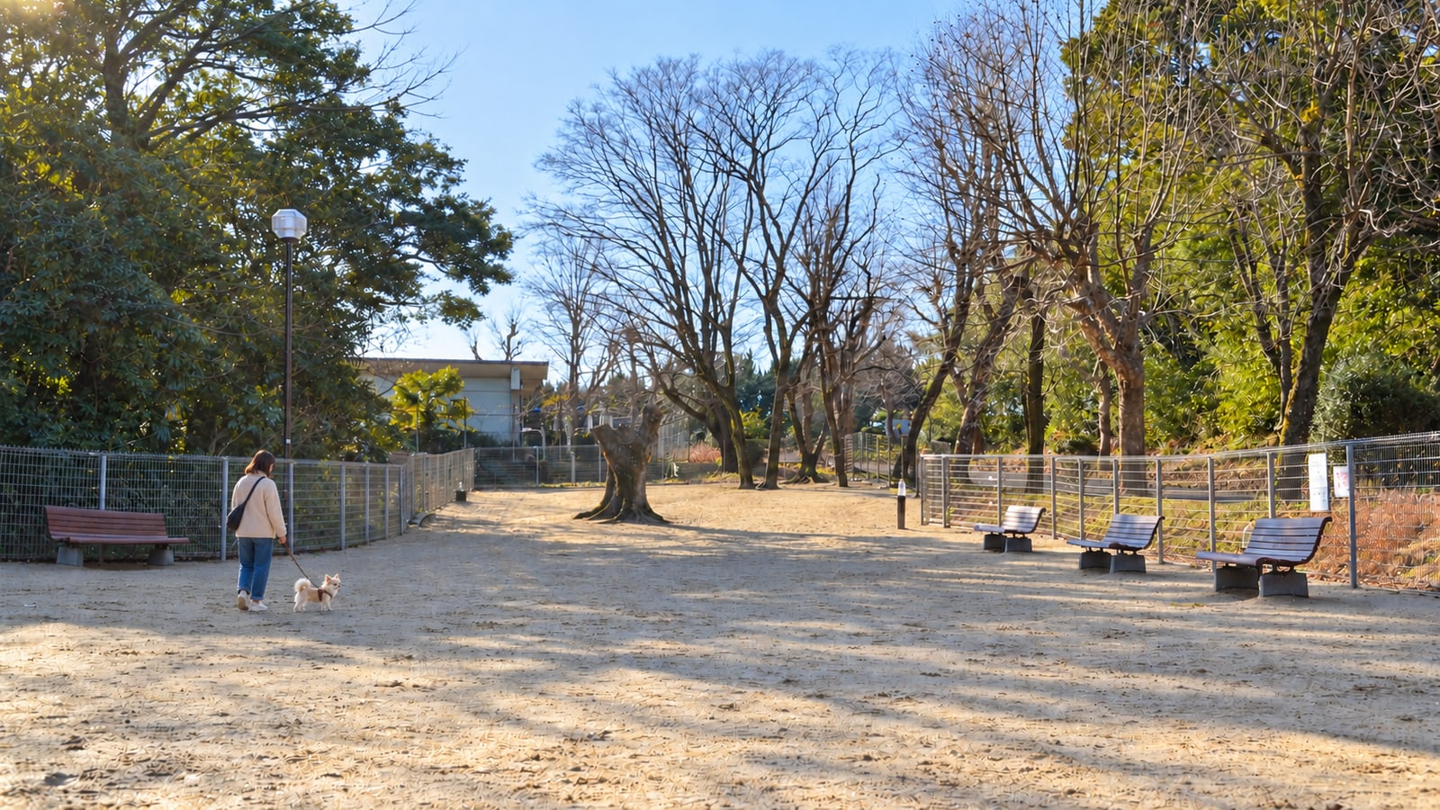 大高緑地ドッグラン（AIイメージ画像）