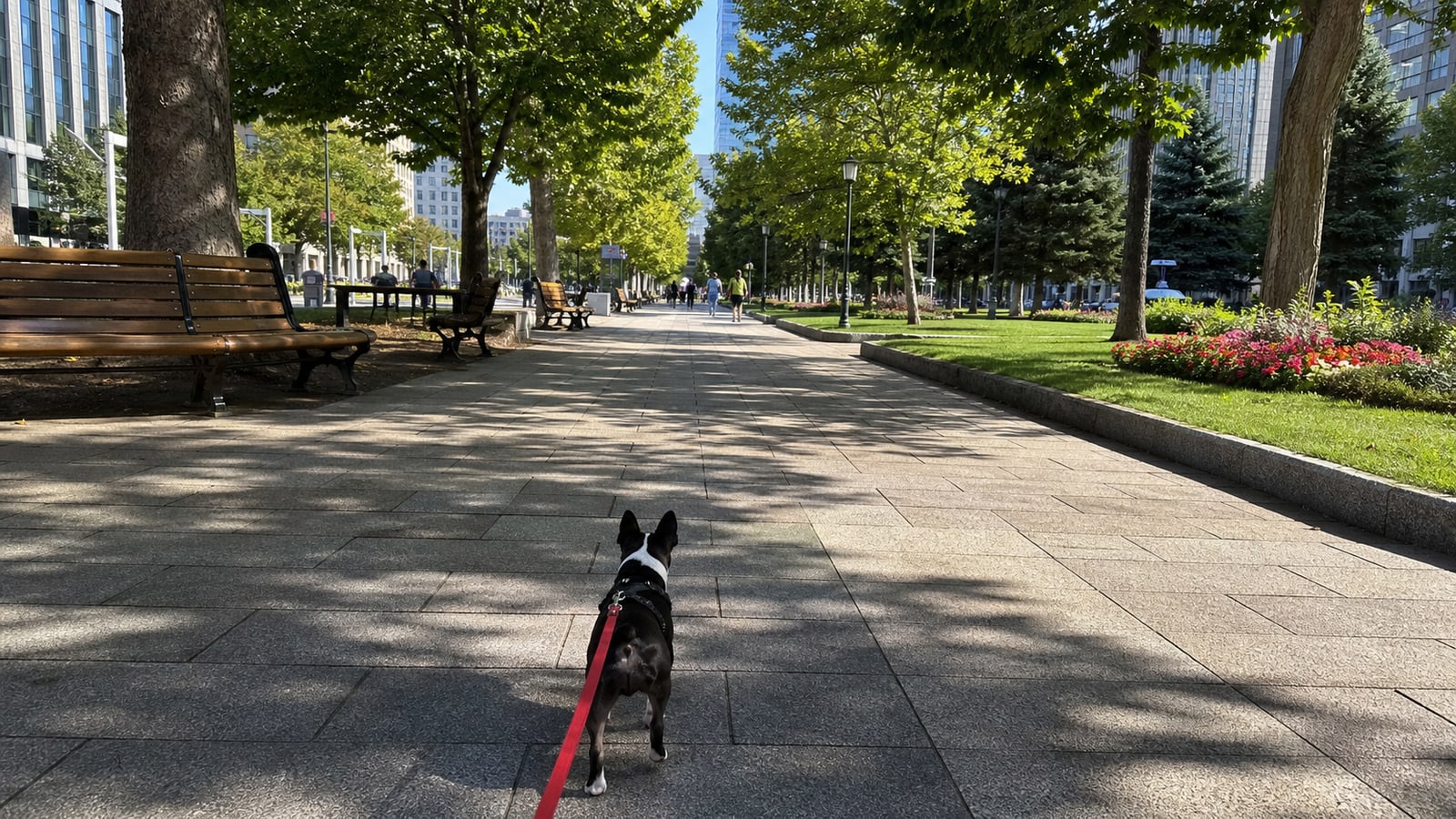 大通公園のAIイメージ画像3