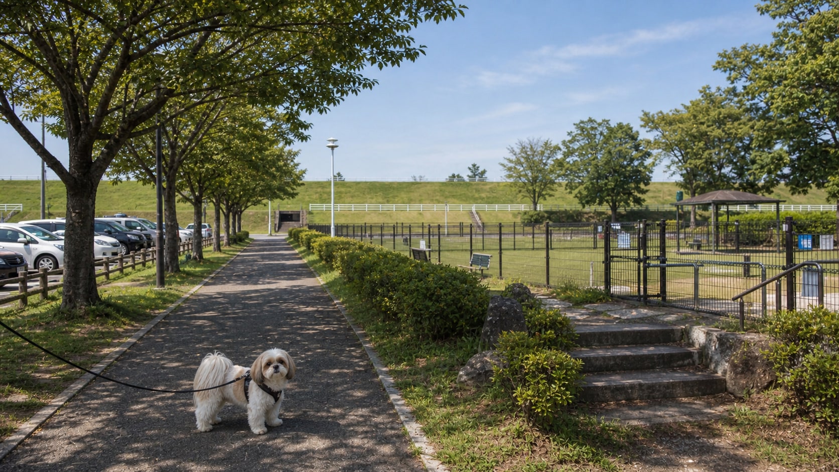 大野極楽寺公園 わんわん広場のAIイメージ画像4