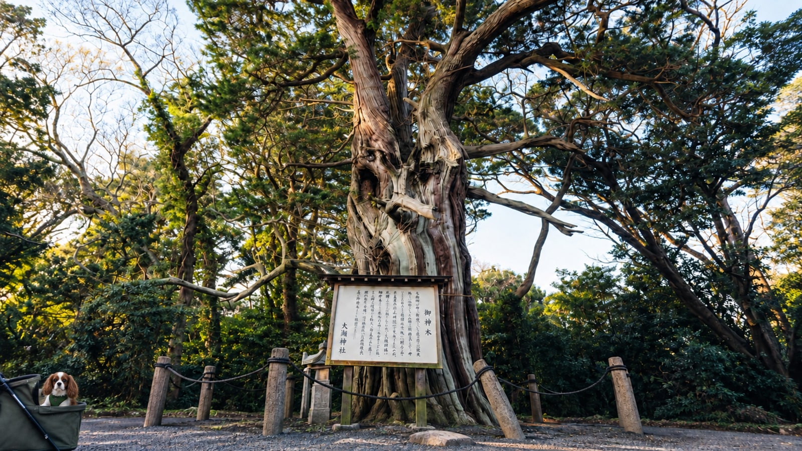 大瀬崎のAIイメージ画像2