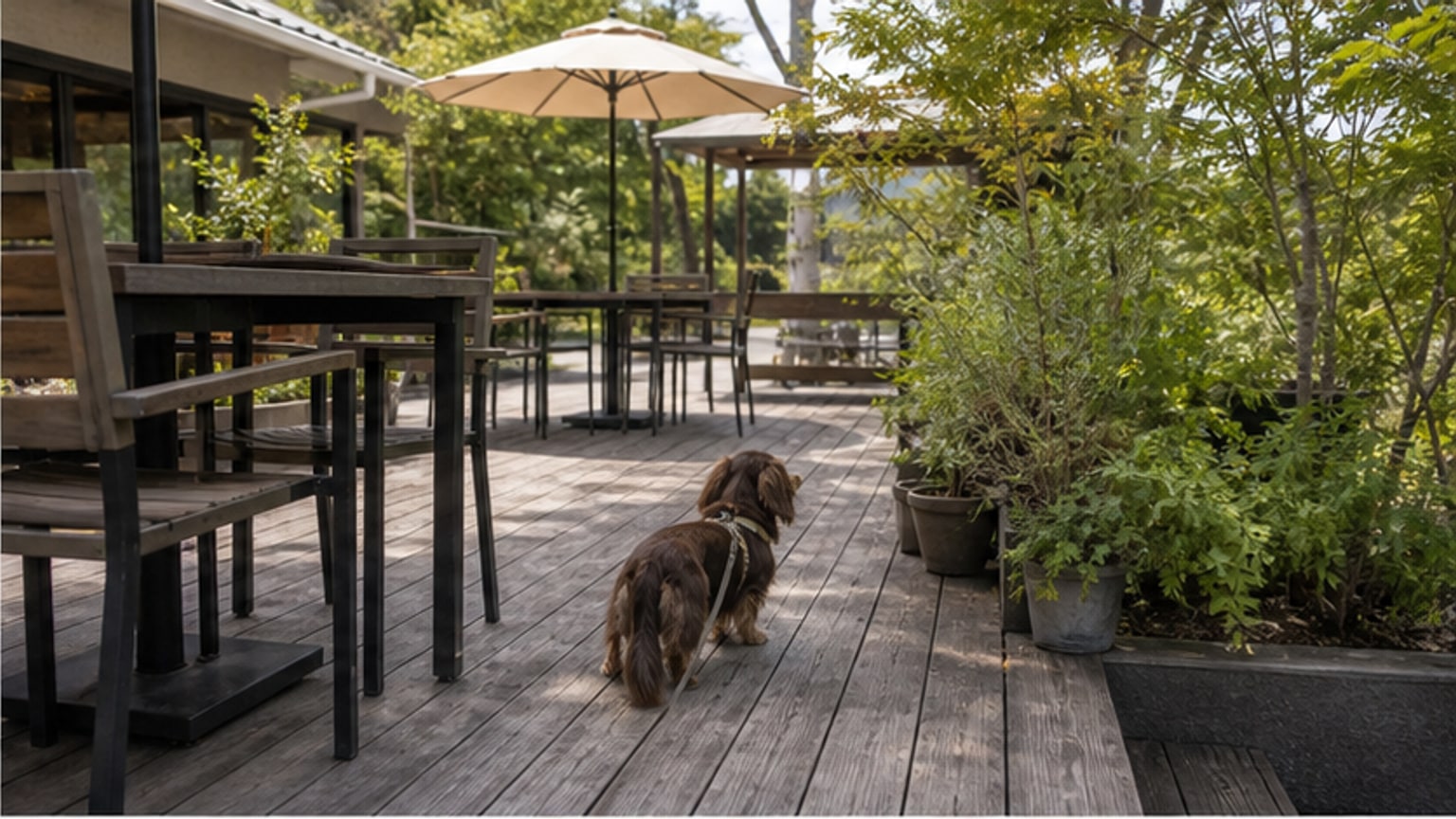 Parking Cafe ReUnion 本店のAIイメージ画像2