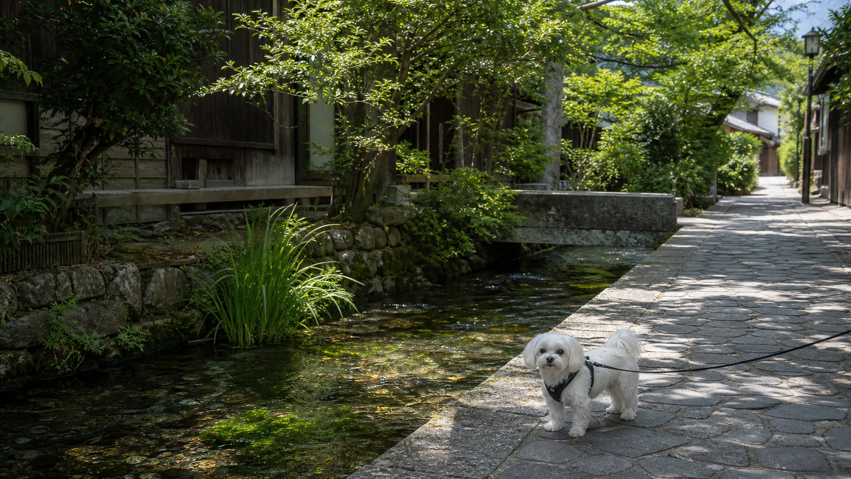 醒井宿（地蔵川・居醒の清水）のAIイメージ画像4