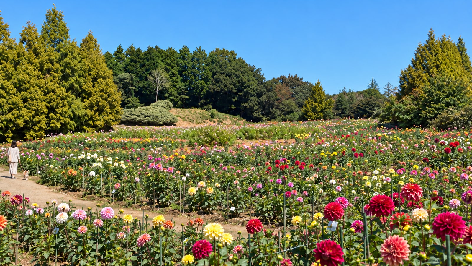 世羅高原農場（AIイメージ画像）