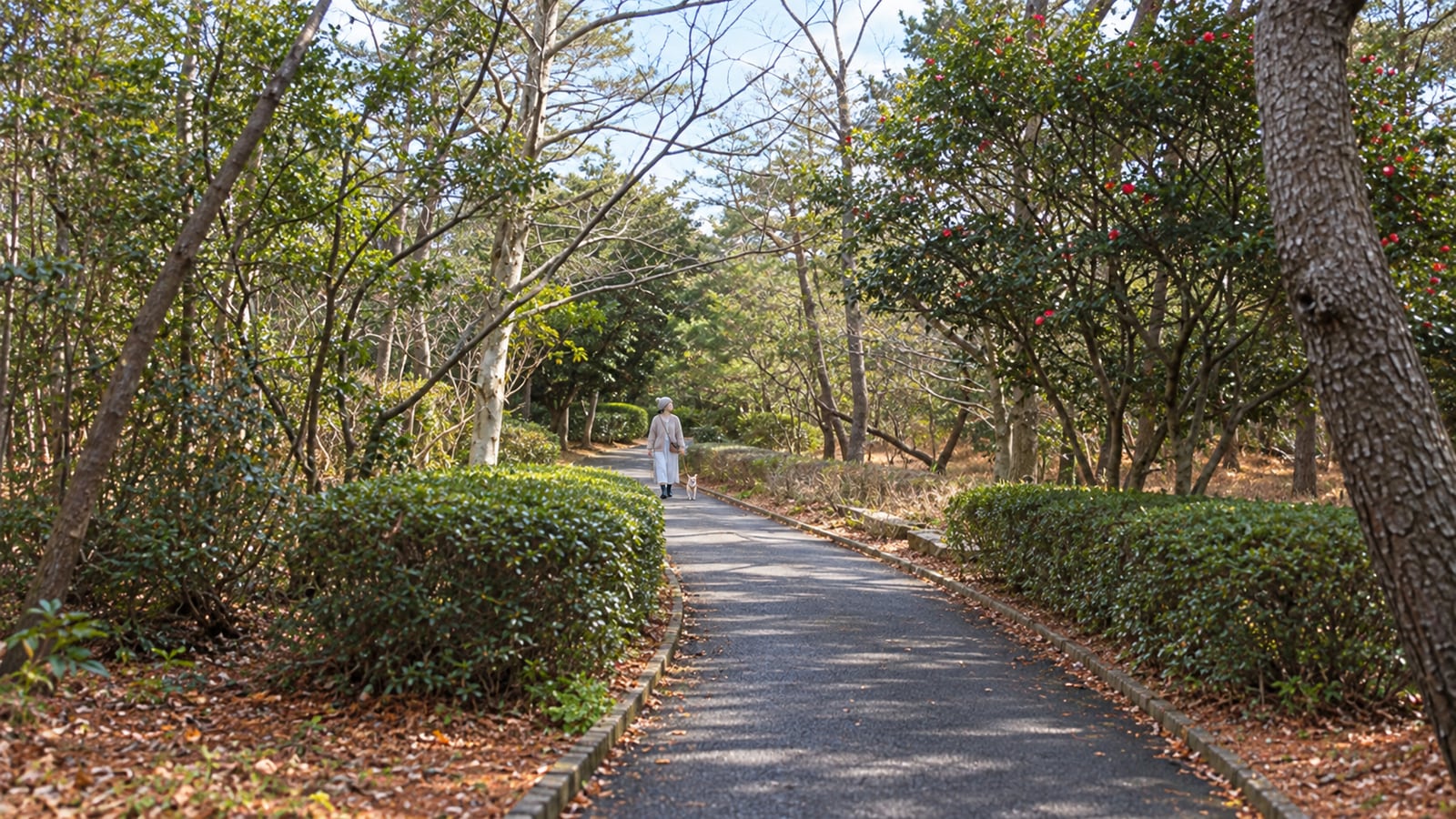 島根県立浜山公園（AIイメージ画像）