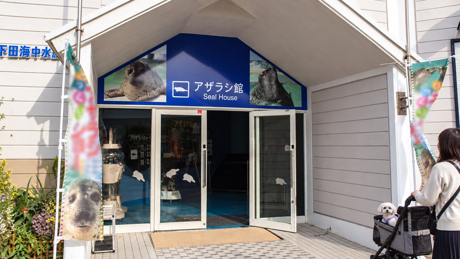 下田海中水族館のAIイメージ画像2
