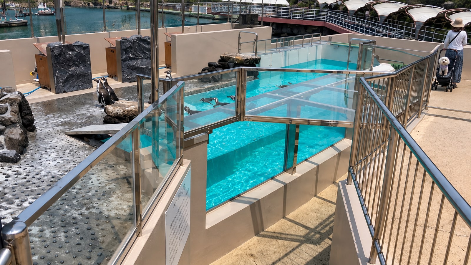 下田海中水族館のAIイメージ画像3