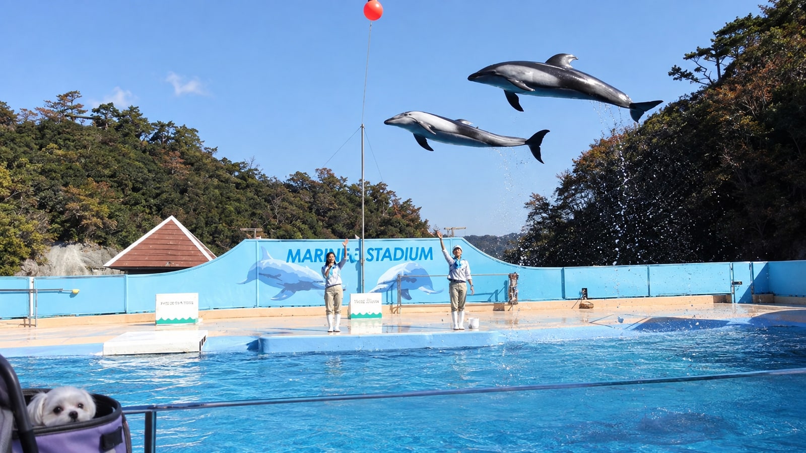 下田海中水族館のAIイメージ画像4