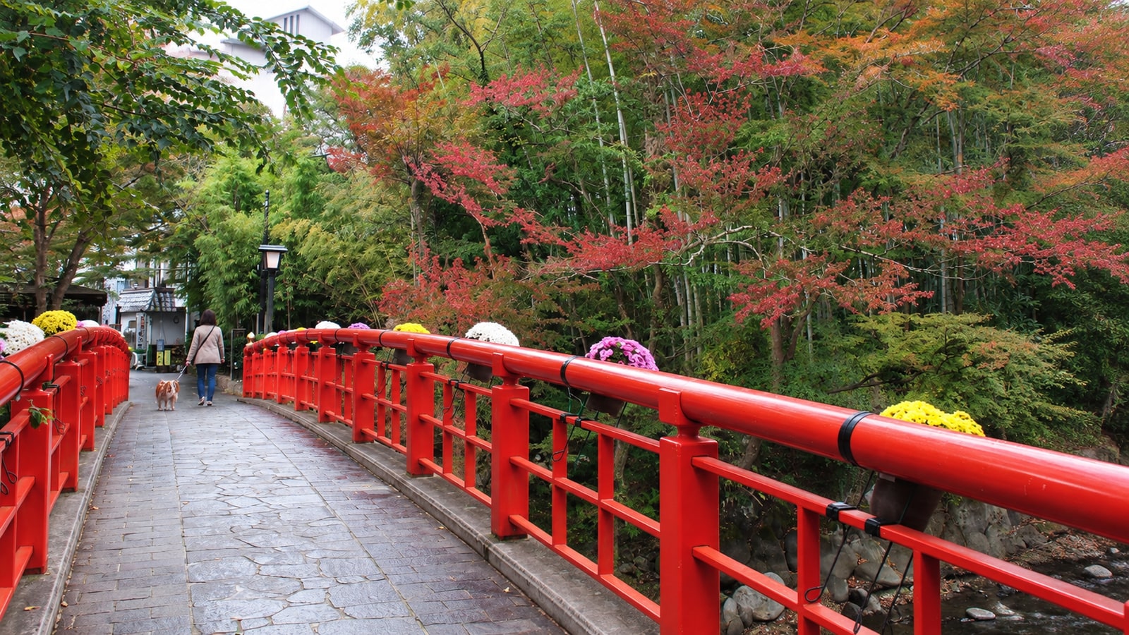 修善寺温泉街（修禅寺・竹林の小径）のAIイメージ画像4