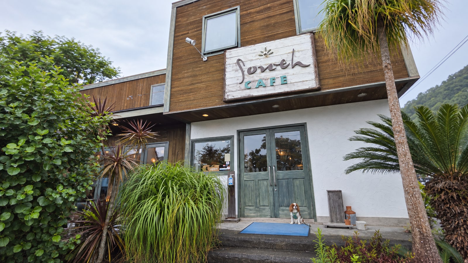South cafe（AIイメージ画像）