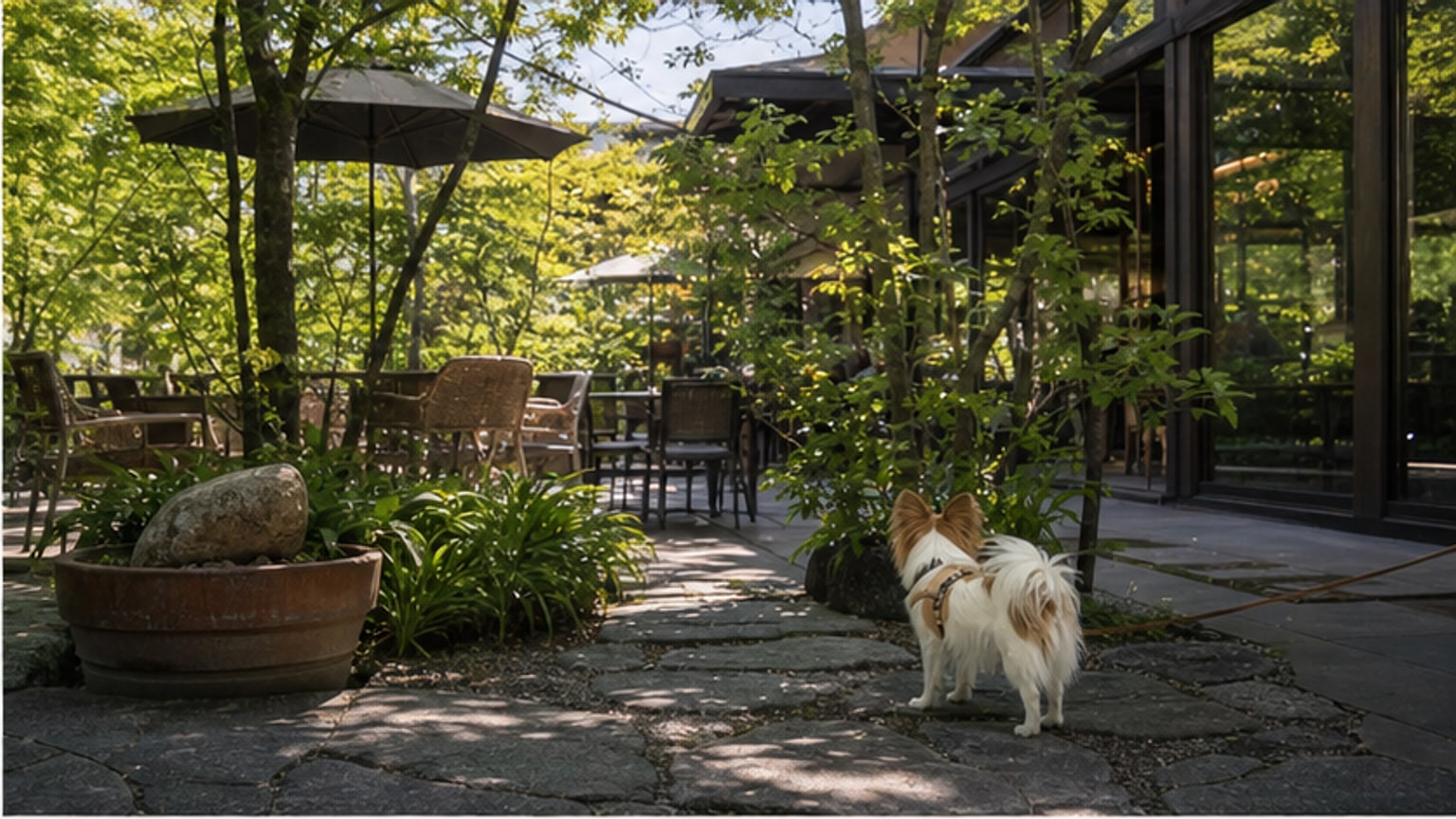 スターバックス コーヒー 京都宇治平等院表参道店のAIイメージ画像2