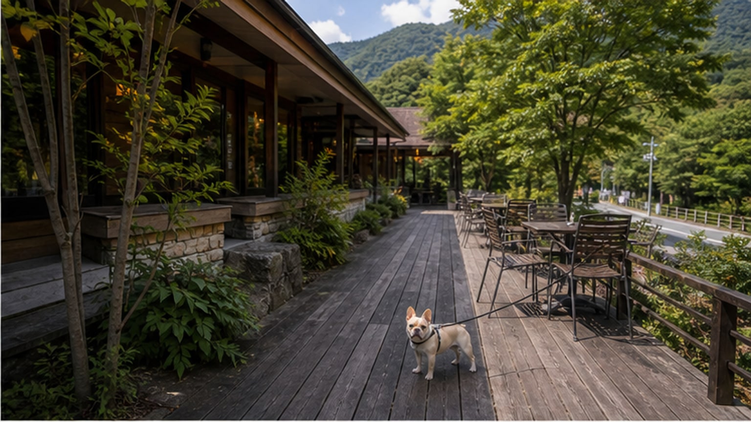 ステーキハウス寿楽 本店のAIイメージ画像2