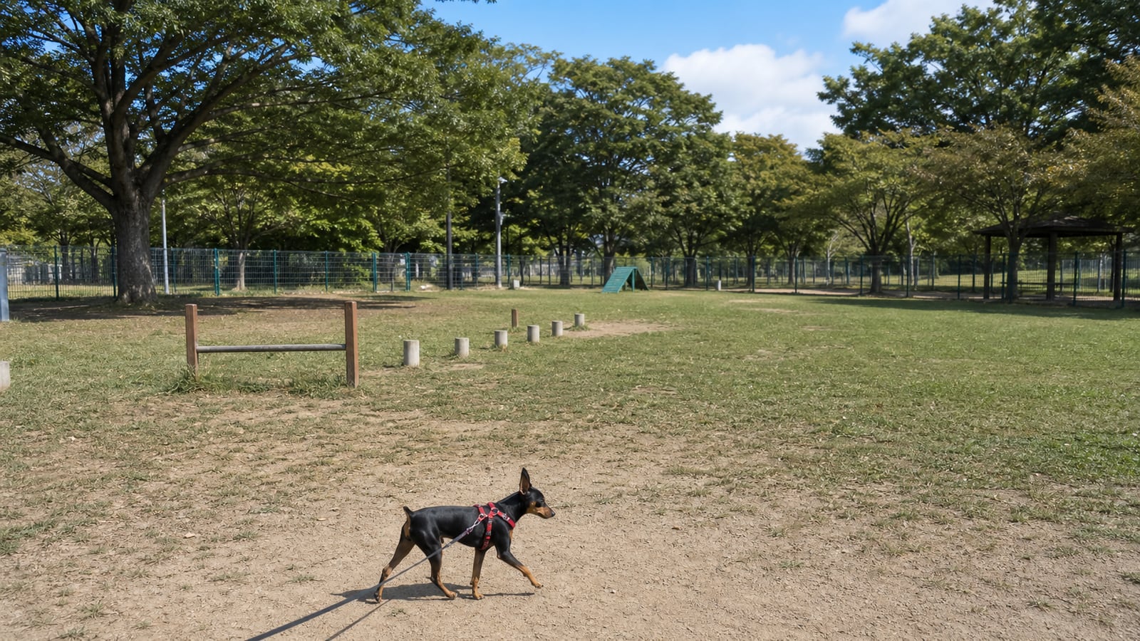 垂水健康公園 ドッグランのAIイメージ画像2