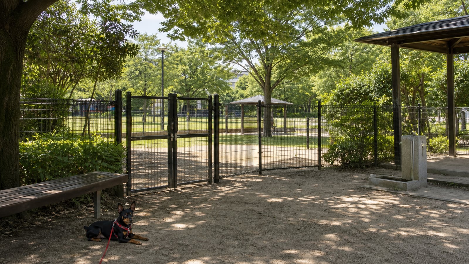 垂水健康公園 ドッグランのAIイメージ画像4
