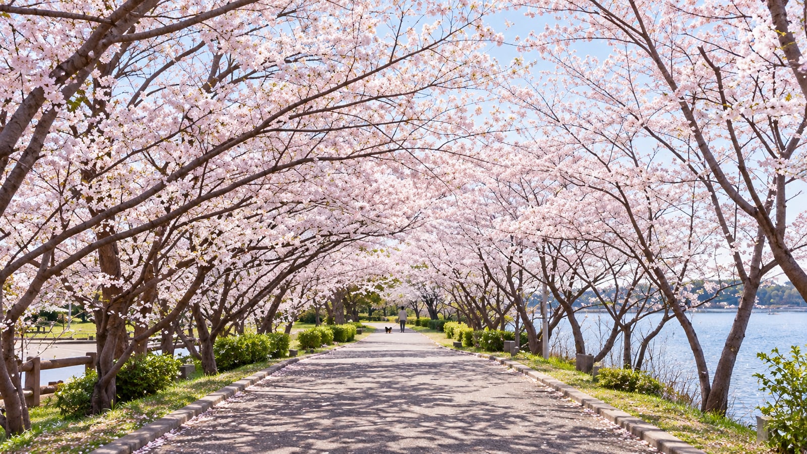 手賀沼公園・手賀沼遊歩道のAIイメージ画像3