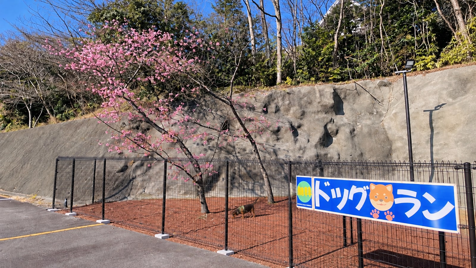 徳造丸 金目鯛の駅 伊豆高原のAIイメージ画像3