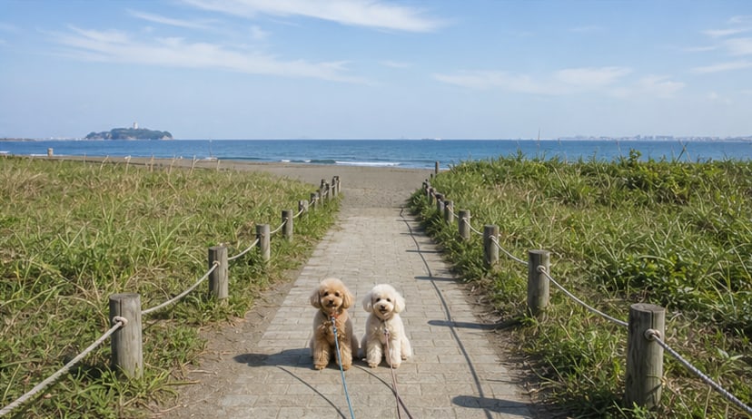 県立辻堂海浜公園のAIイメージ画像4