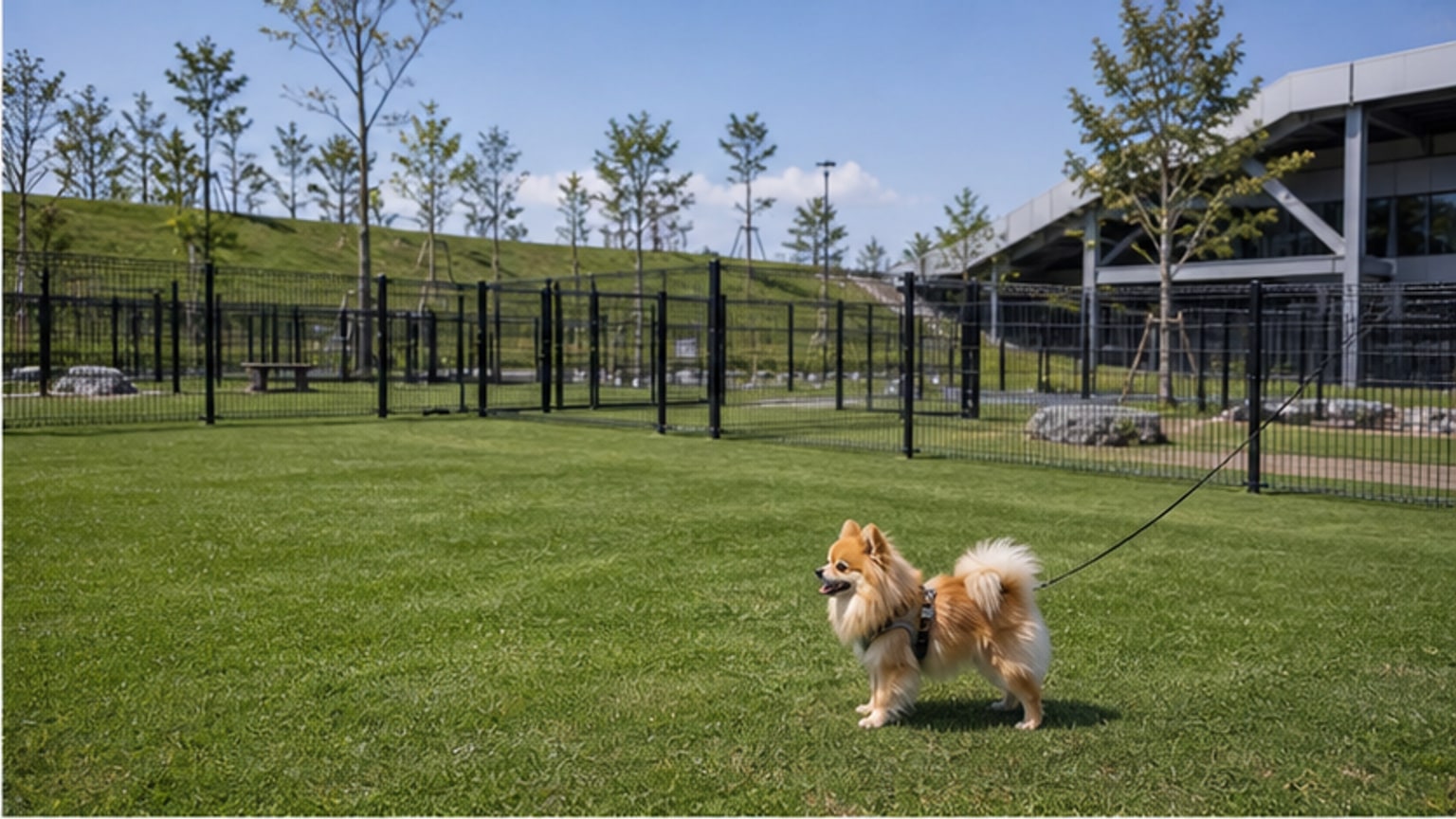 ユニ・チャーム DOG PARK（北海道ボールパークFビレッジ）のAIイメージ画像2