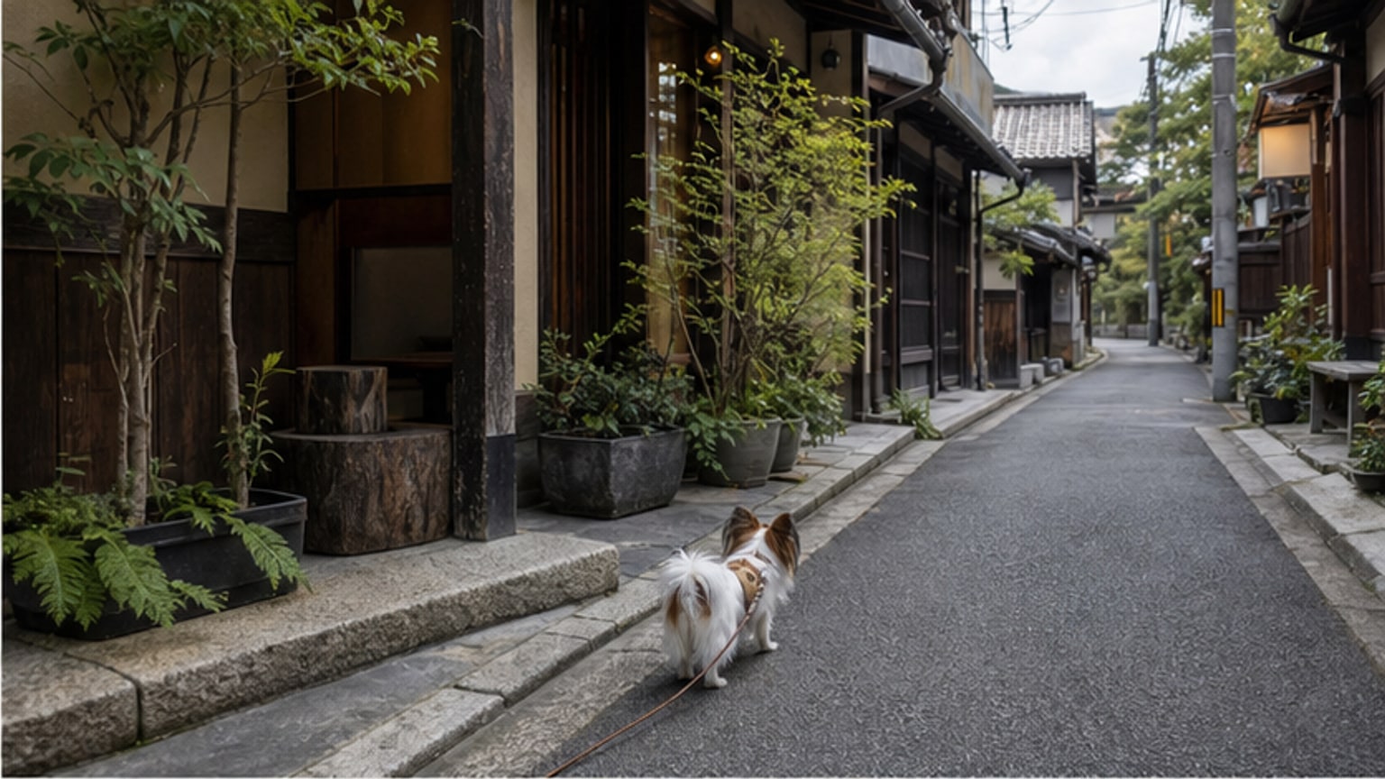 兎珈琲（うさぎこーひー）のAIイメージ画像2