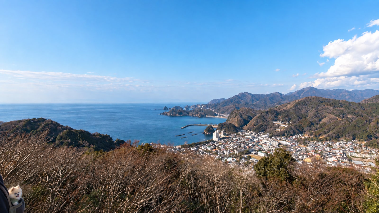 牛原山町民の森（牛原山展望台）（AIイメージ画像）