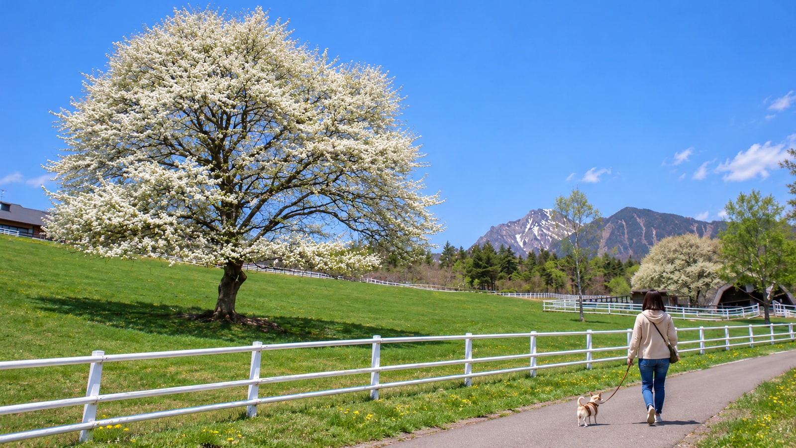 山梨県立まきば公園のAIイメージ画像4