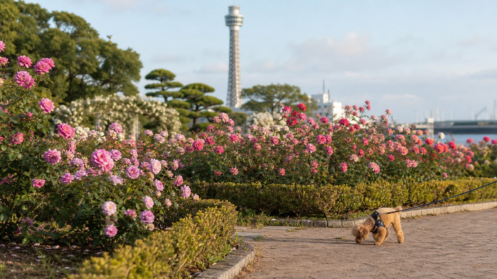 山下公園のAIイメージ画像2