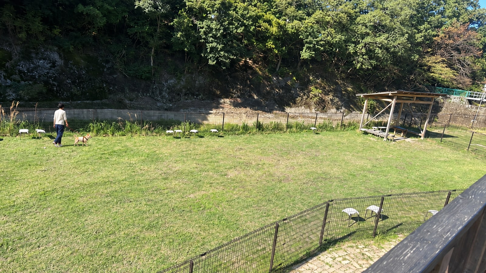 やまやまぱーくのAIイメージ画像2