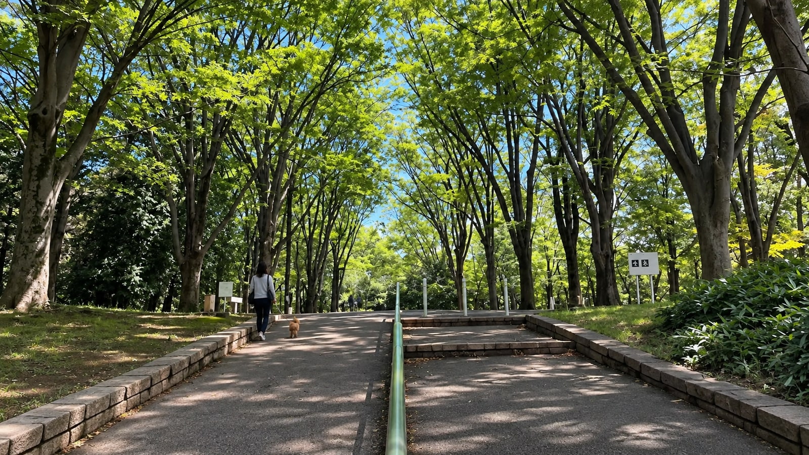 代々木公園 ドッグランのAIイメージ画像3