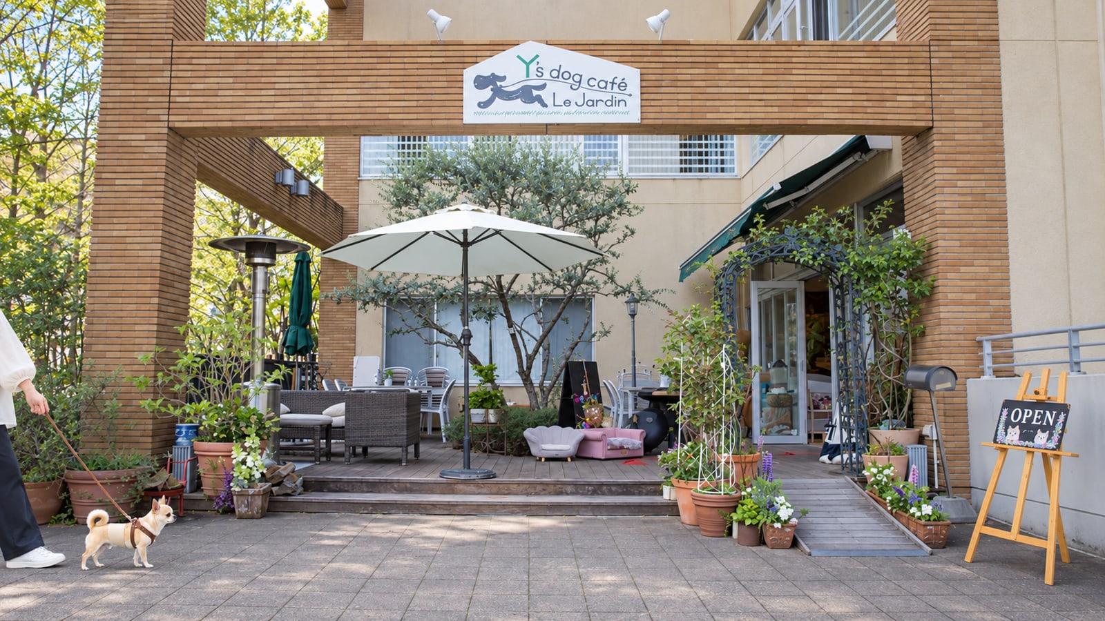 Y's Dog Cafe Le Jardin（ワイズドッグカフェ ル・ジャルダン）（AIイメージ画像）