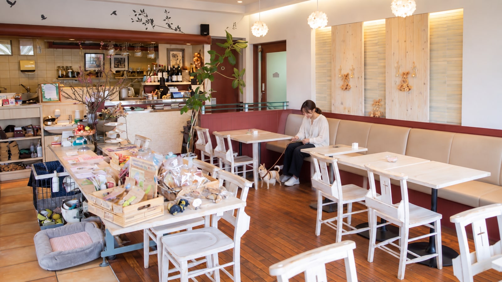 Y's Dog Cafe Le Jardin（ワイズドッグカフェ ル・ジャルダン）のAIイメージ画像2
