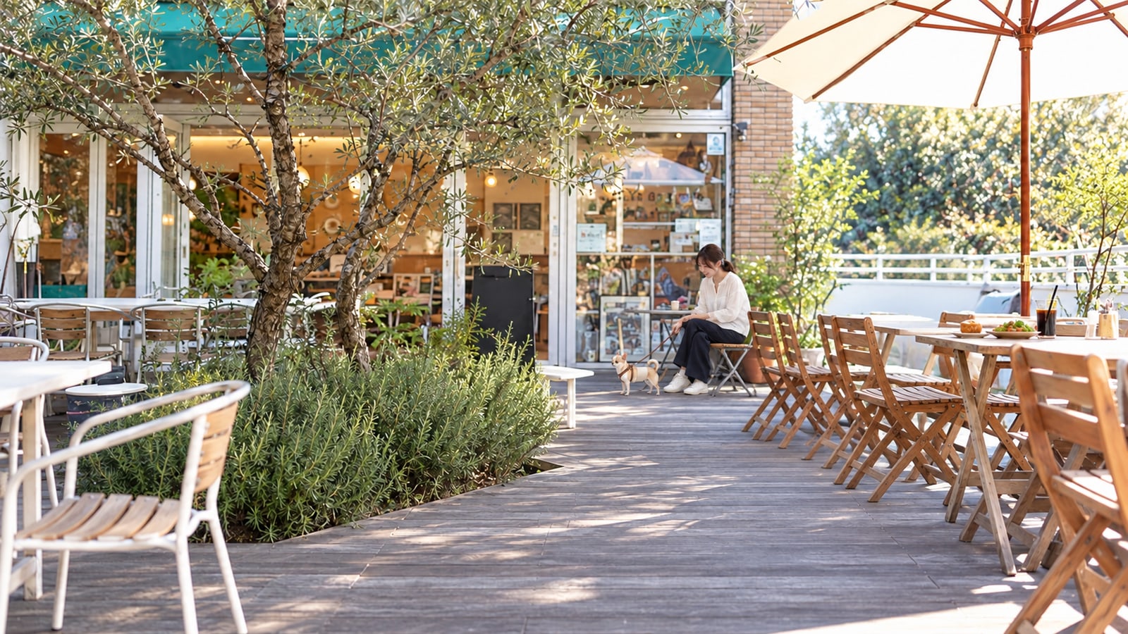 Y's Dog Cafe Le Jardin（ワイズドッグカフェ ル・ジャルダン）のAIイメージ画像3