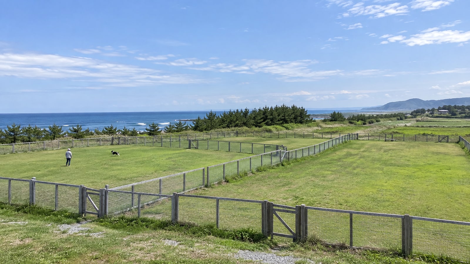 湯野浜ドッグランMB（AIイメージ画像）
