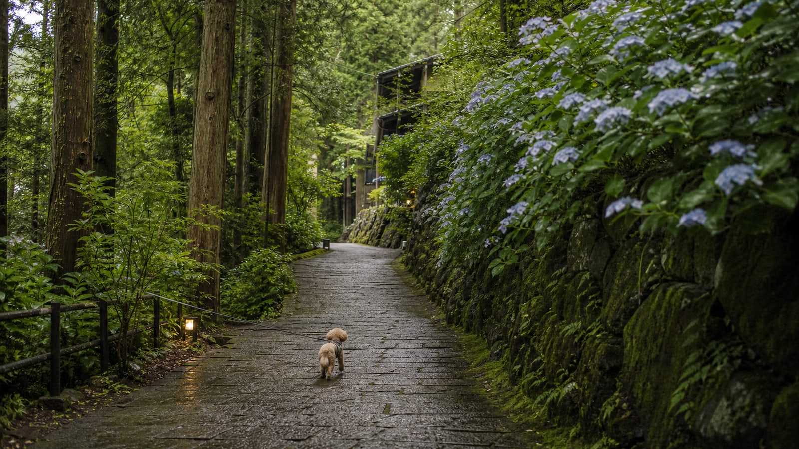 ゆるり箱根 with DOGSのAIイメージ画像3